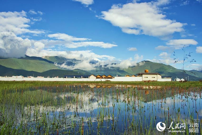 納帕海濕地風(fēng)景。呂昊辰攝