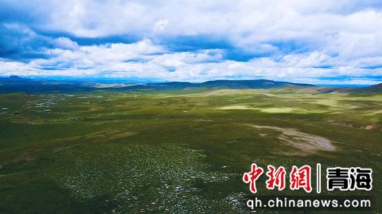 圖為長(zhǎng)江南源沼澤濕地。李江寧攝