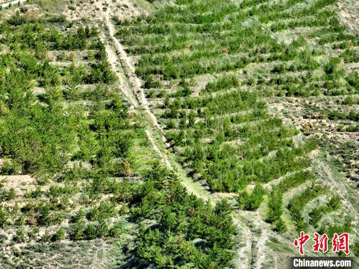 航拍建行青海省分行綠化區(qū)?！∑钤鲚?攝
