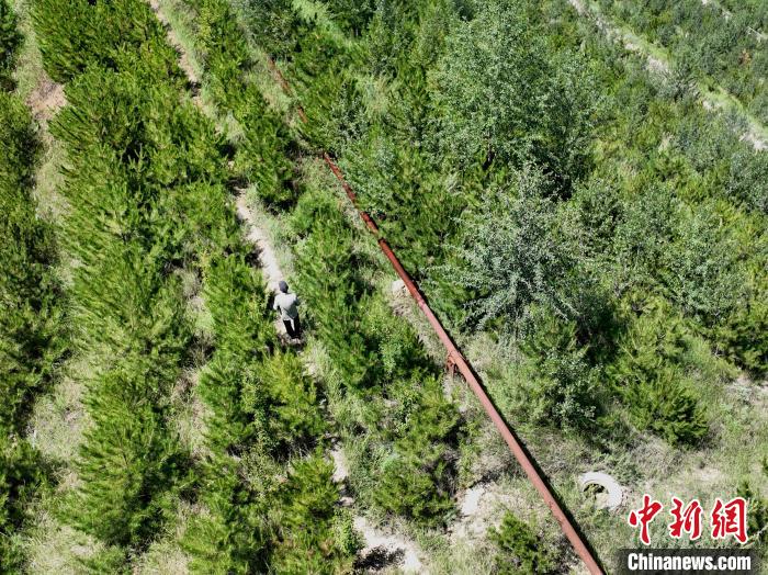 航拍建行青海省分行綠化區(qū)施工隊隊長盧占祥正在巡護綠化區(qū)?！∑钤鲚?攝
