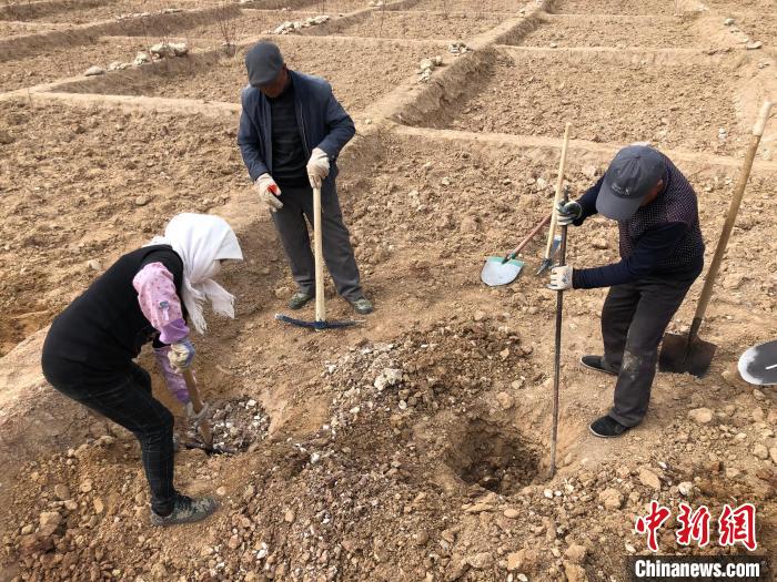 資料圖為建行青海省分行綠化區(qū)施工隊隊員處理亂石?！〗ㄐ星嗪Ｊ》中泄﹫D