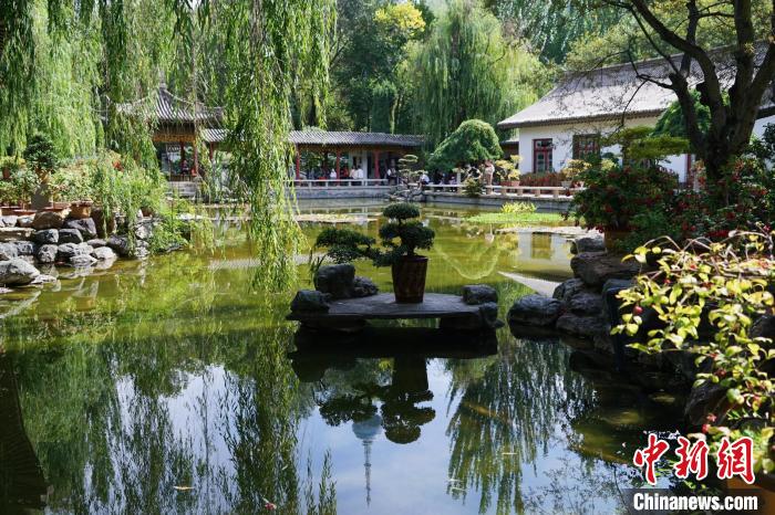 圖為西寧園林植物園秋日風(fēng)景別有韻味。　馬銘言 攝