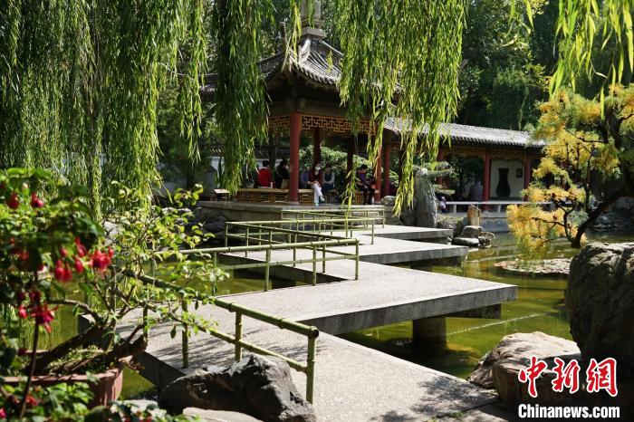 圖為西寧園林植物園秋日風(fēng)景別有韻味?！●R銘言 攝