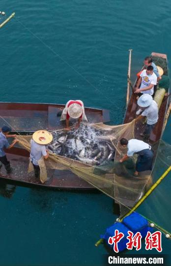 捕魚現(xiàn)場。　主辦方供圖