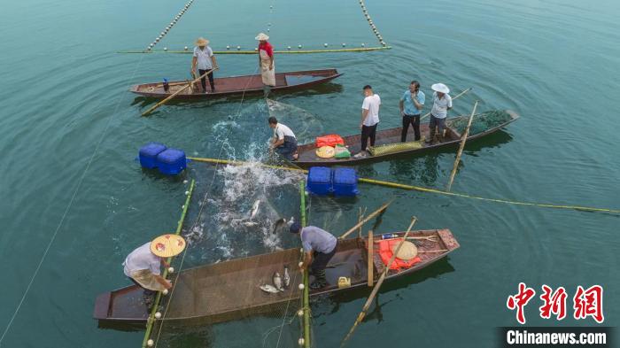 捕魚現(xiàn)場?！≈鬓k方供圖