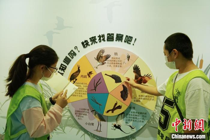 圖為小朋友在青海西寧湟水國家濕地公園科普館內(nèi)參觀學(xué)習(xí)。　馬銘言 攝