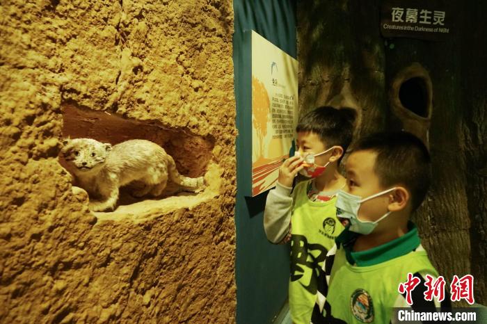 圖為小朋友在青海西寧湟水國家濕地公園科普館內(nèi)參觀學(xué)習(xí)?！●R銘言 攝