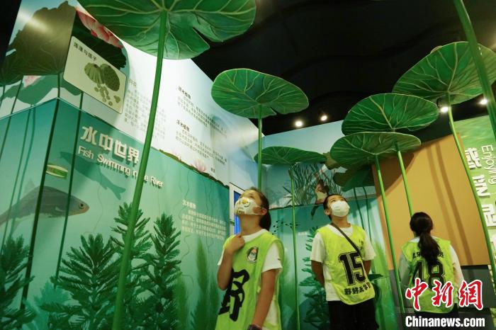 圖為小朋友在青海西寧湟水國家濕地公園科普館內(nèi)參觀學(xué)習(xí)?！●R銘言 攝