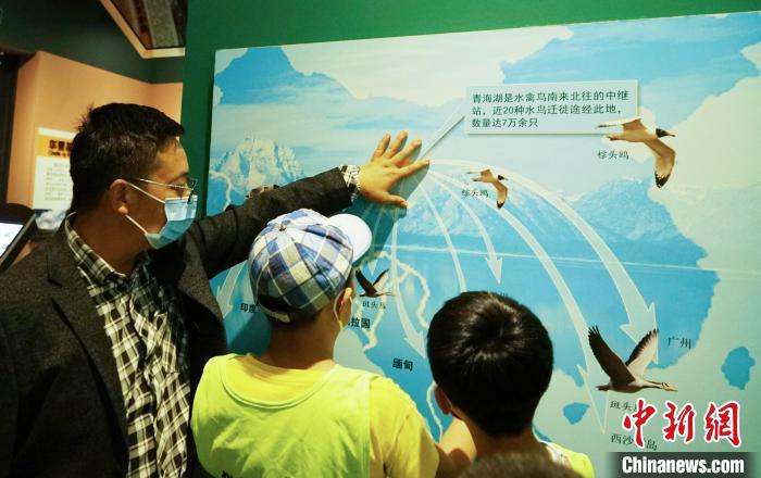 圖為小朋友在青海西寧湟水國家濕地公園科普館內(nèi)參觀學(xué)習(xí)?！●R銘言 攝