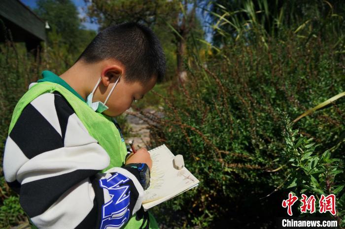圖為小朋友在青海西寧湟水國家濕地公園內(nèi)認(rèn)識植物并進(jìn)行繪畫。　馬銘言 攝