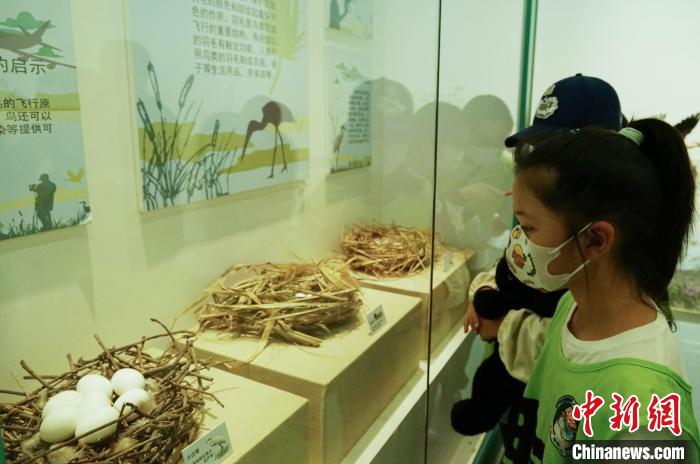 圖為小朋友在青海西寧湟水國家濕地公園科普館內(nèi)參觀學(xué)習(xí)?！●R銘言 攝
