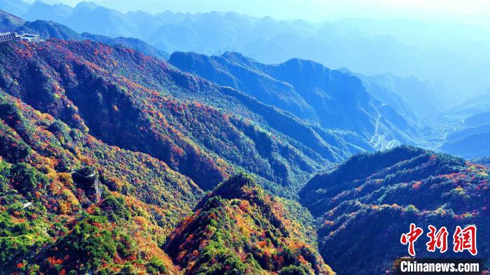 巴山大峽谷彩林迎來最佳觀賞期。　張平 攝
