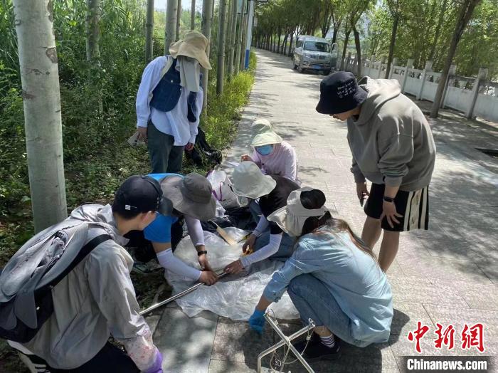 圖為科研人員正在進(jìn)行監(jiān)測(cè)?！∥鲗庝宜畤?guó)家濕地公園供圖