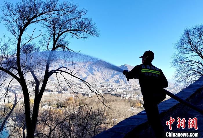 12月6日，布達(dá)拉宮消防救援大隊(duì)在布達(dá)拉宮山體林草區(qū)域開展?jié)窕ぷ?。　劉?攝