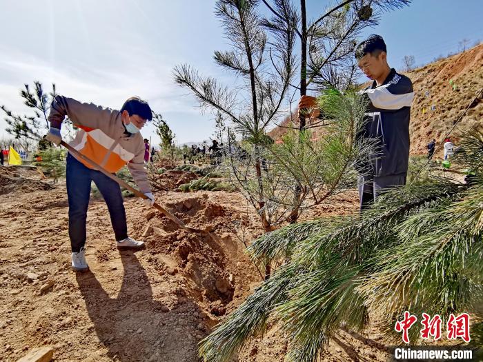 圖為西寧市城東區(qū)義務(wù)植樹活動現(xiàn)場。　張?zhí)砀?攝