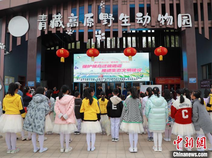 圖為青海省西寧市開展第42屆“愛鳥周”科普宣傳活動?！●R銘言 攝