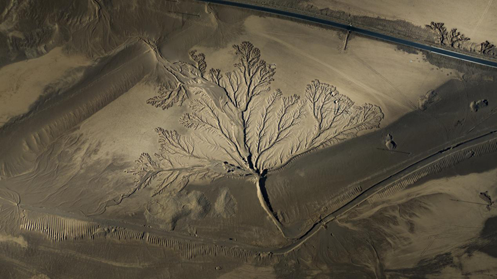 無人機(jī)視角下的西藏阿里地區(qū)改則縣“大地之樹”景觀。尼瑪多吉攝