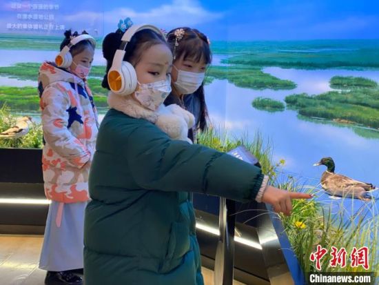 圖為學(xué)生在西寧市第一中學(xué)濕地科普宣教館內(nèi)參觀?！±罱瓕?攝