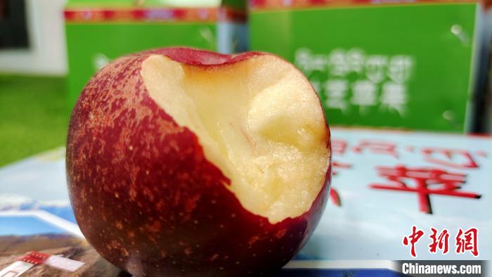 圖為通麥村特色甜心蘋(píng)果?！∝暽＠?攝
