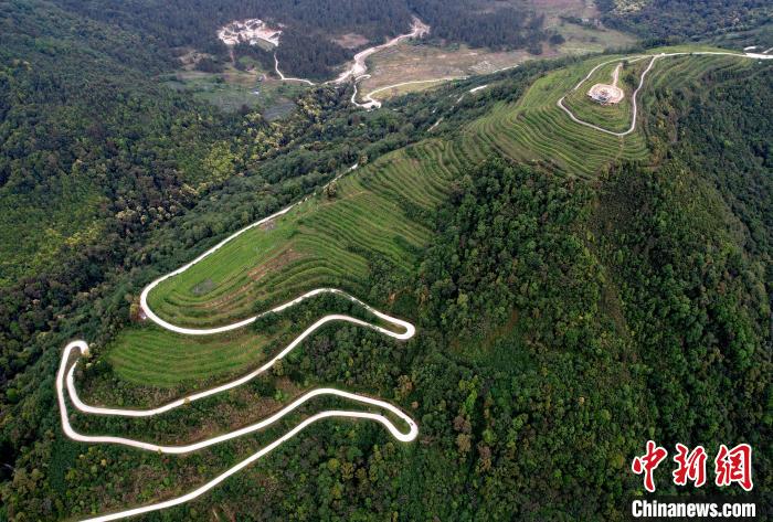 圖為西藏林芝市墨脫縣背崩鄉(xiāng)格林村山頂?shù)木坝^茶園。(無人機(jī)照片) 李林 攝