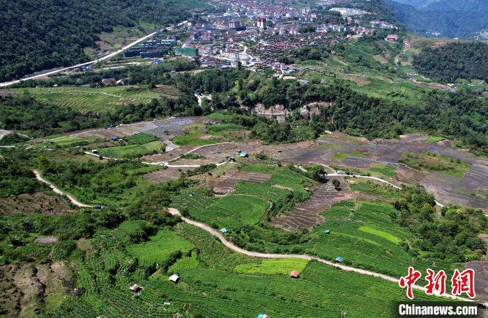 圖為西藏林芝市墨脫縣城附近的茶田。(無人機(jī)照片) 李林 攝