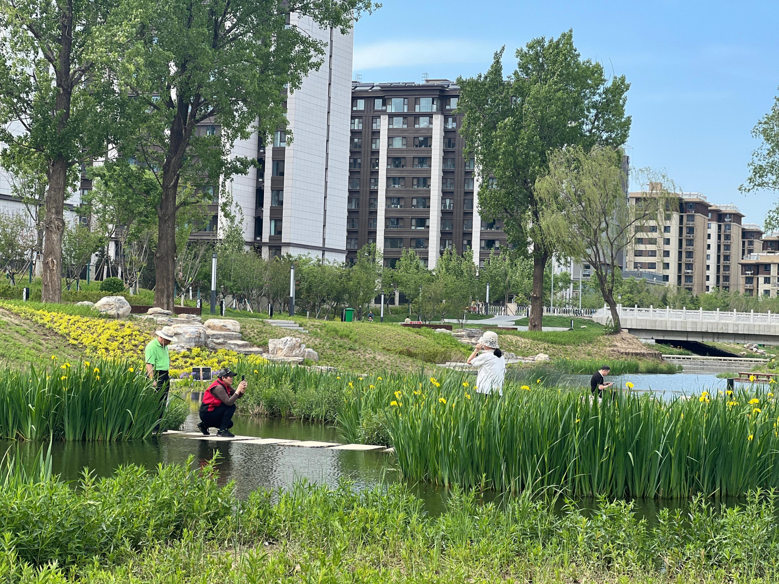 五一渠生態(tài)濱河公園內，市民正在拍照留念。人民網 歐陽易佳攝