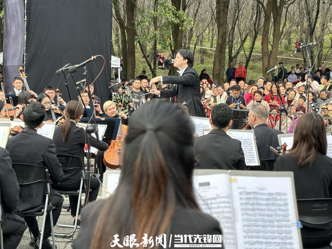 貴陽路邊音樂會(huì)·貴安櫻花園專場交響樂現(xiàn)場。丁亞 文丹 攝