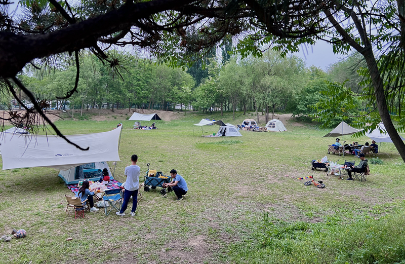 “自駕+露營(yíng)”等多元模式受熱捧。人民網(wǎng)記者 王連香攝