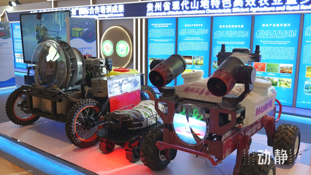 展示成果分享經(jīng)驗(yàn)，中國—東盟教育交流周深化合作共創(chuàng)未來！