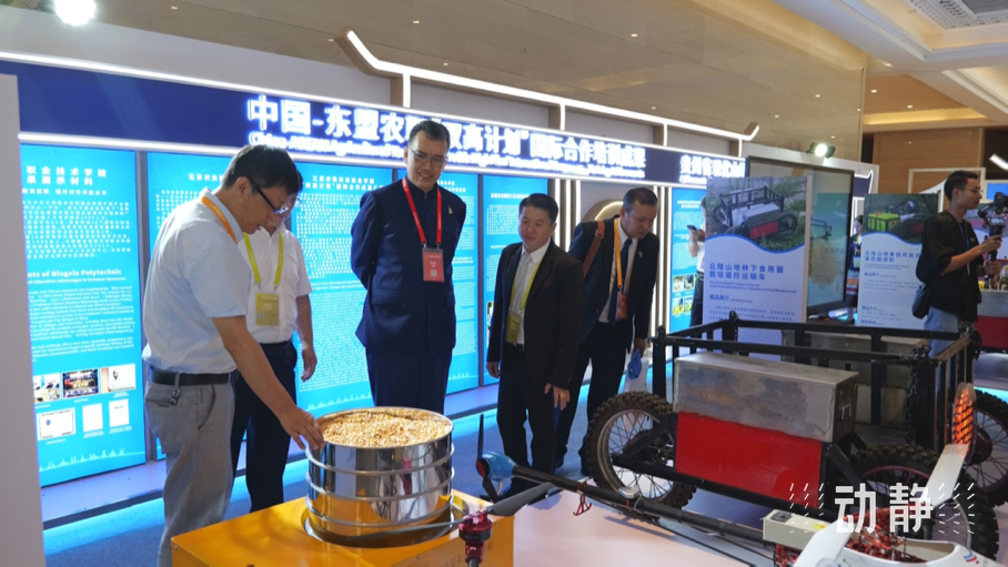 展示成果分享經(jīng)驗(yàn)，中國—東盟教育交流周深化合作共創(chuàng)未來！