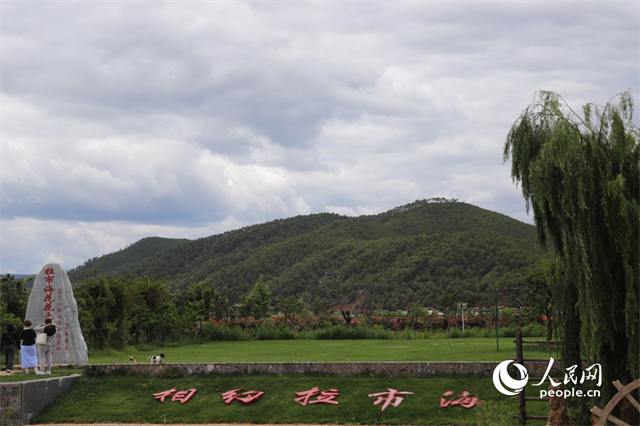 麗江市拉市海景區(qū)。 人民網(wǎng)記者 程浩攝