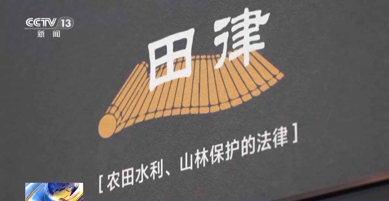 文化中國(guó)行丨最早的法典、家書、乘法表……千年簡(jiǎn)牘中讀懂歷史的“大事件”“小細(xì)節(jié)”