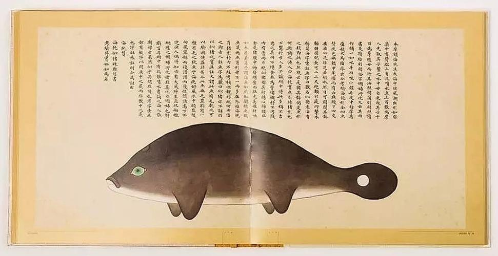 文化中國行 長江之歌丨微笑的江豚，從四千年前“游”來