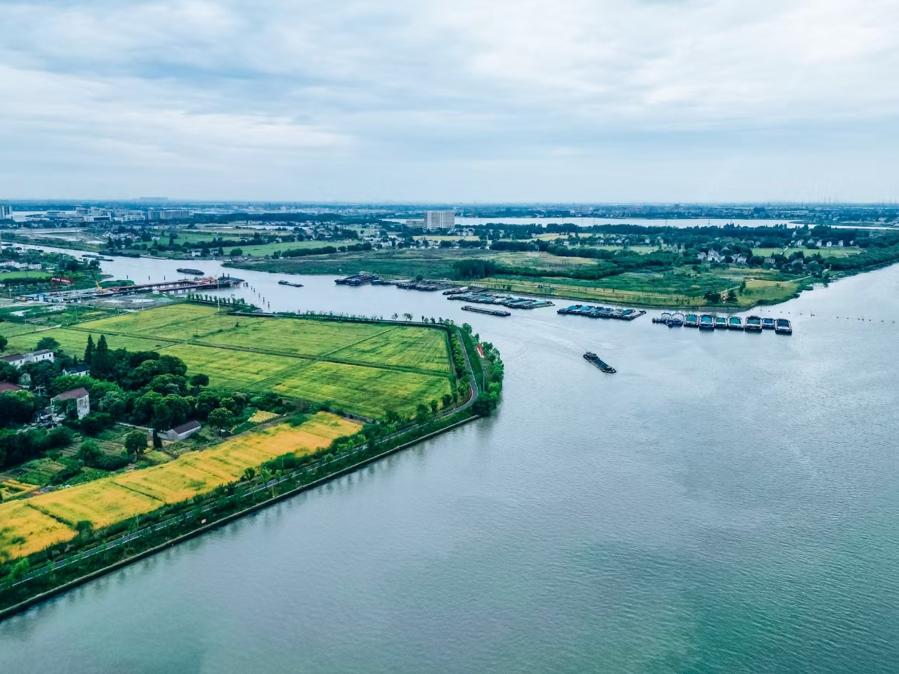太浦河沿岸好風光。吳橫軒攝