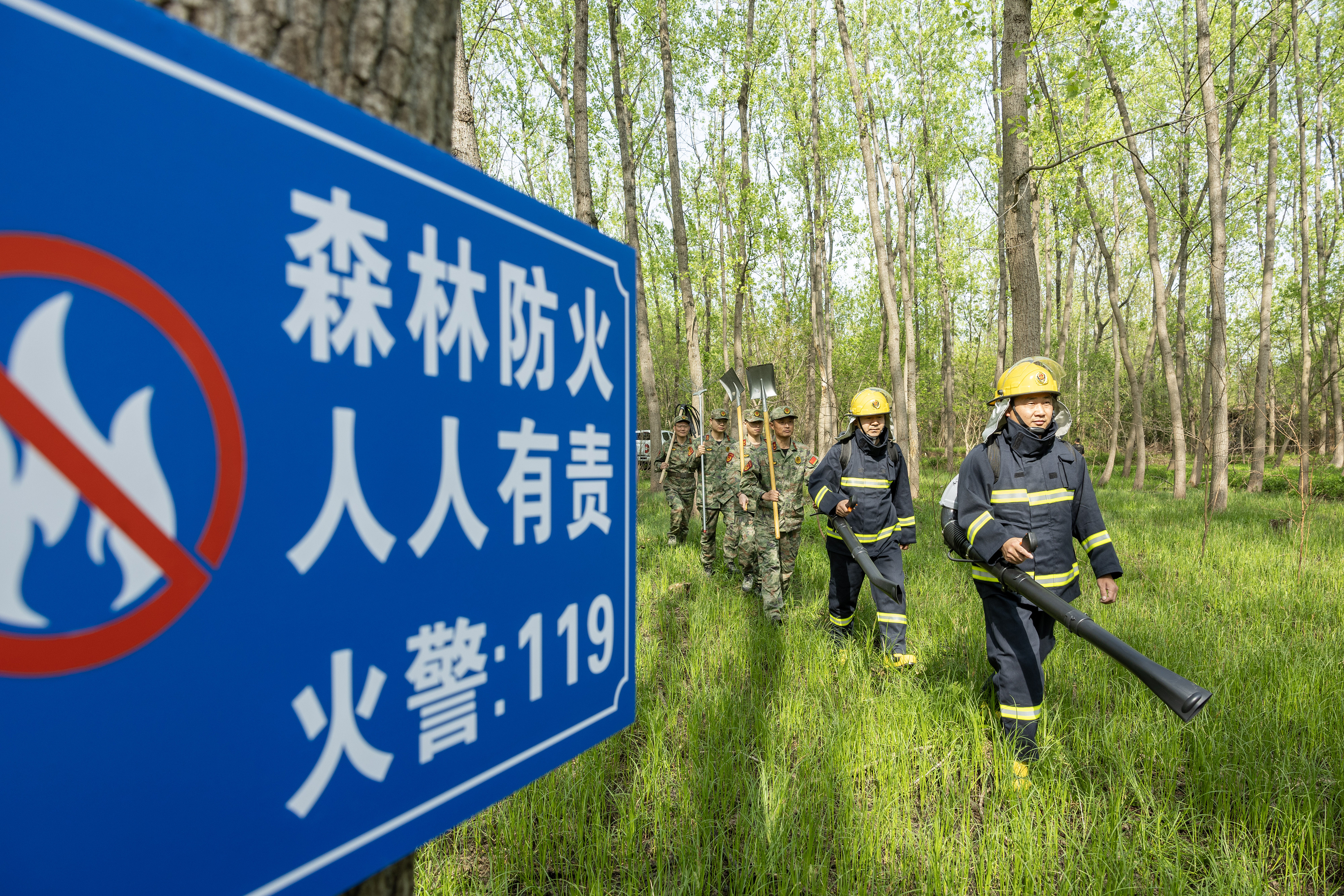 2024年4月9日，合肥市大房郢水庫(kù)水源保護(hù)地廬陽(yáng)經(jīng)濟(jì)開(kāi)發(fā)區(qū)段，基干民兵正在林間巡查火災(zāi)隱患。