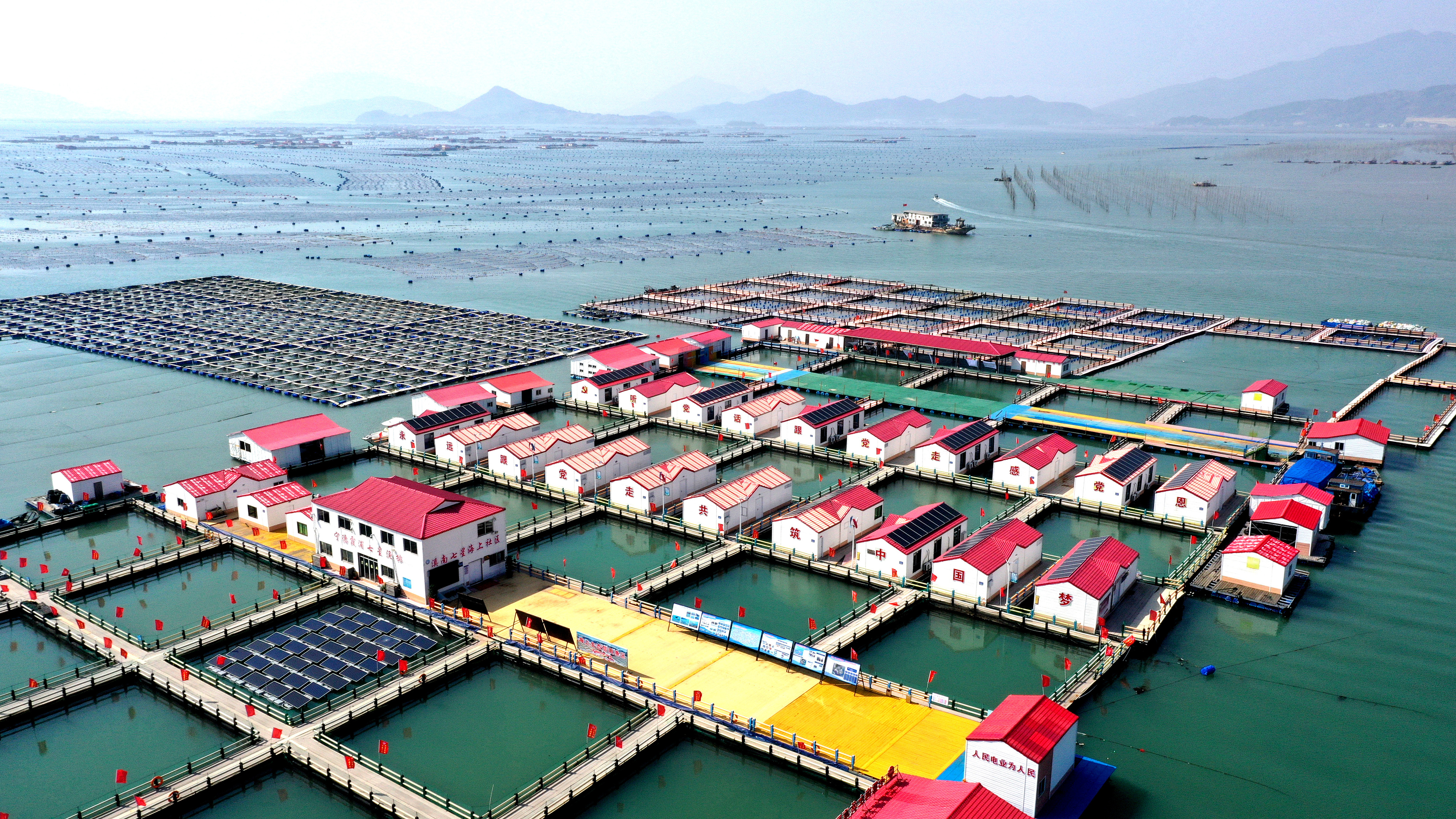 2024年3月20日，福建省寧德市，霞浦縣溪南鎮(zhèn)七星村漁排養(yǎng)殖示范區(qū)，漁民駕駛養(yǎng)殖船進(jìn)行海參養(yǎng)殖作業(yè)。