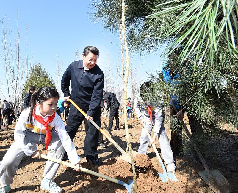 2015年4月3日，習(xí)近平總書記同大家一起植樹。