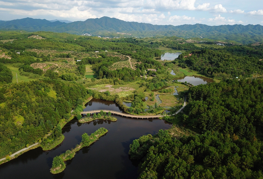 福建省龍巖市長汀縣的長汀汀江國家濕地公園景色（2020年7月28日攝，無人機(jī)照片）。新華社記者 魏培全 攝