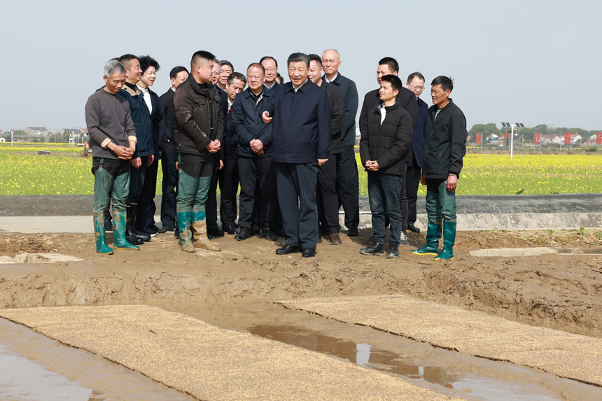 2024年3月18日至21日，中共中央總書記、國家主席、中央軍委主席習(xí)近平在湖南考察。這是19日下午，習(xí)近平在常德市鼎城區(qū)謝家鋪鎮(zhèn)港中坪村走進(jìn)田間，察看秧苗培育和春耕備耕進(jìn)展。新華社記者 王曄 攝