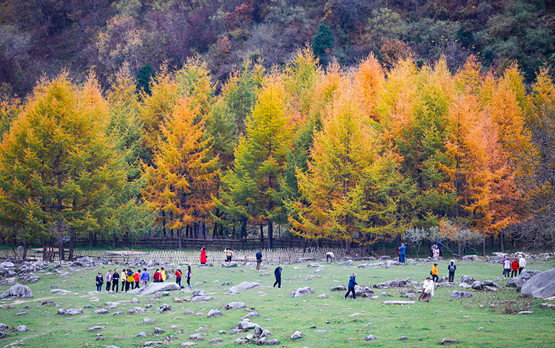 2023年10月27日，深秋時(shí)節(jié)的陜西秦嶺太子嶺漫山紅黃、色彩交織，進(jìn)入最佳觀賞期。