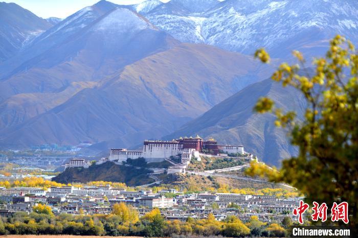10月24日，雪山、布達(dá)拉宮和秋色組成“風(fēng)景畫”?！〗w波 攝