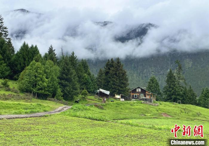 6月10日，魯朗小鎮(zhèn)高山牧場景區(qū)風光?！∪轿木?攝