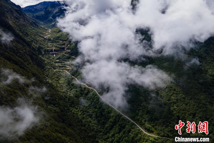 西藏山南勒布溝景區(qū)的盤山公路被云霧環(huán)繞?！〗w波 攝