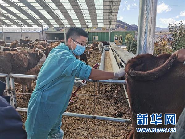 （決戰(zhàn)決勝脫貧攻堅(jiān)·圖文互動(dòng)）（2）脫貧“不暫?！?服務(wù)“不打烊”——天津通過(guò)“云端”幫扶為甘肅受援地區(qū)戰(zhàn)貧繼續(xù)助力