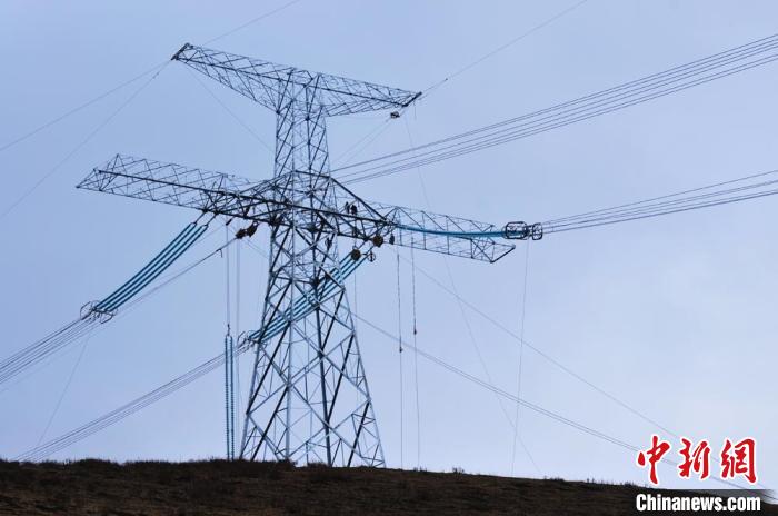 高原藏區(qū)電力線路建設(shè)者：高寒缺氧、扎刺掛彩是常事