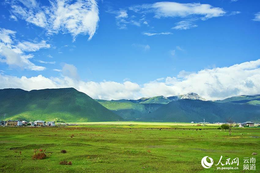 納帕海濕地風(fēng)景。呂昊辰攝