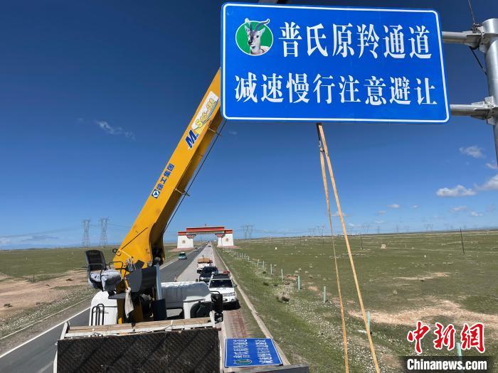 圖為青海省海北州剛察縣設(shè)立的普氏原羚通道警示牌。　青海省海北州人民檢察院供圖