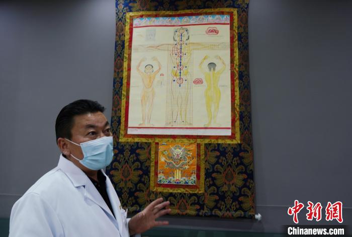 圖為興?？h藏醫(yī)院院長(zhǎng)介紹藏醫(yī)四部醫(yī)典詳實(shí)圖?！●R銘言 攝