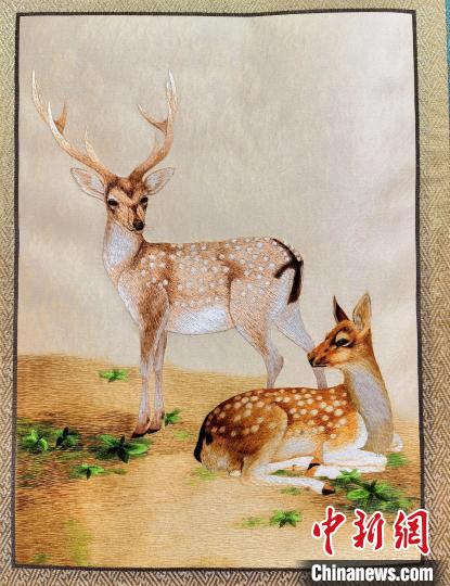 圖為藏繡作品?！∑钤鲚?攝