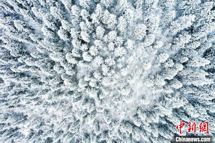 壤塘的雪后美景?！∪捞量h融媒體中心供圖